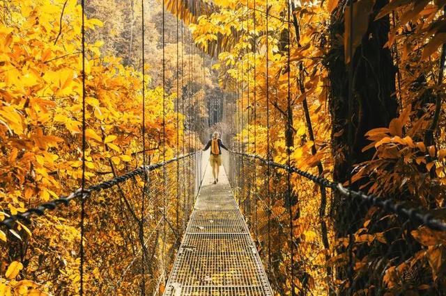 三种调色方法!让你感受秋意的魅力