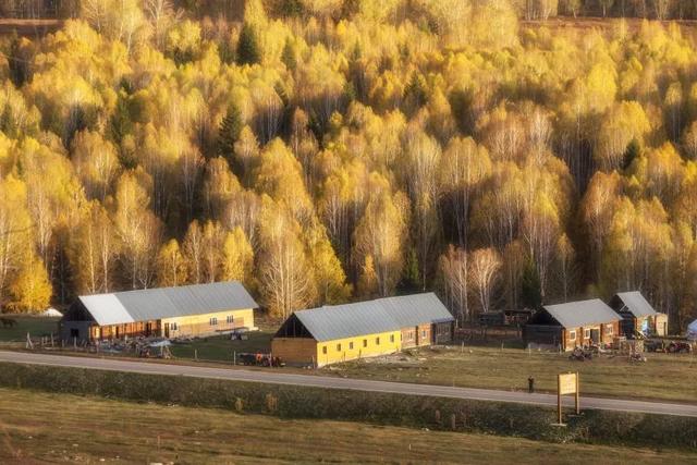 三种调色方法!让你感受秋意的魅力