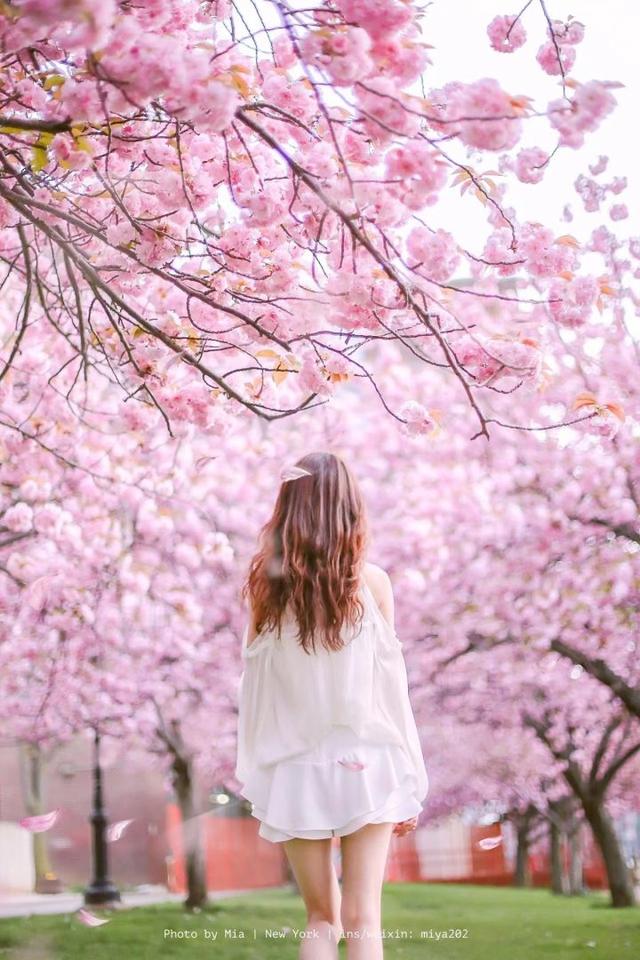 拍照留意这6个方面，照片便能实现越拍越美，简单易学不要错过