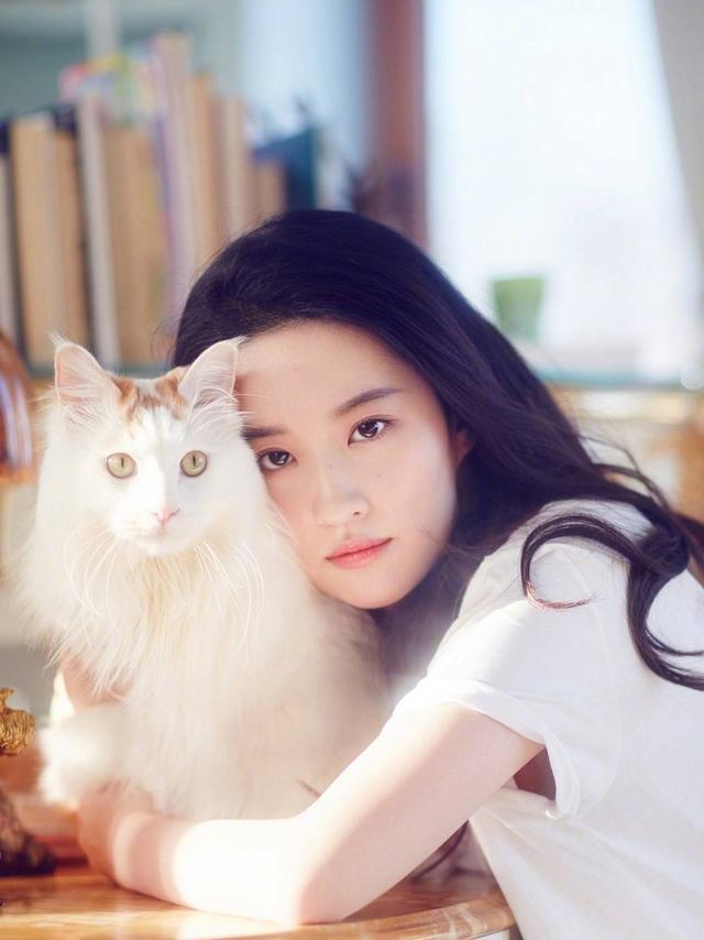 日常拍照、旅行拍照、这13个拍照姿势拍照自然又好看