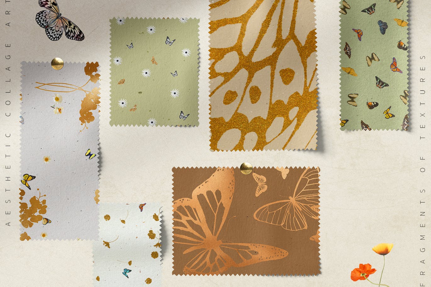 25个蝴蝶拼贴纸纹理图案JPG素材