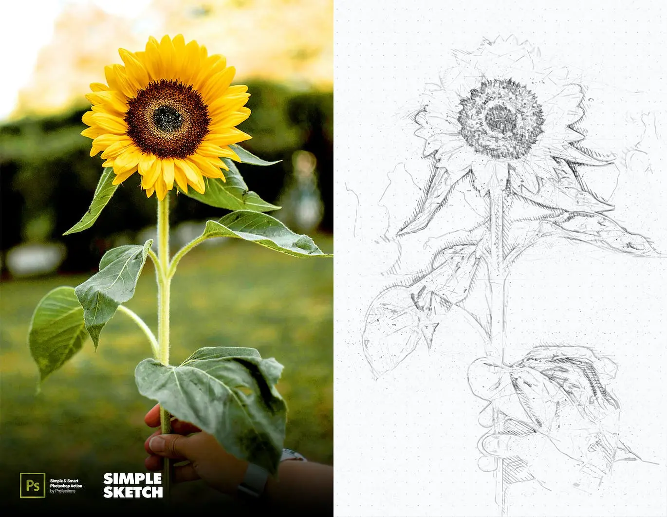 将图片一键生成简单素描手绘效果PS动作