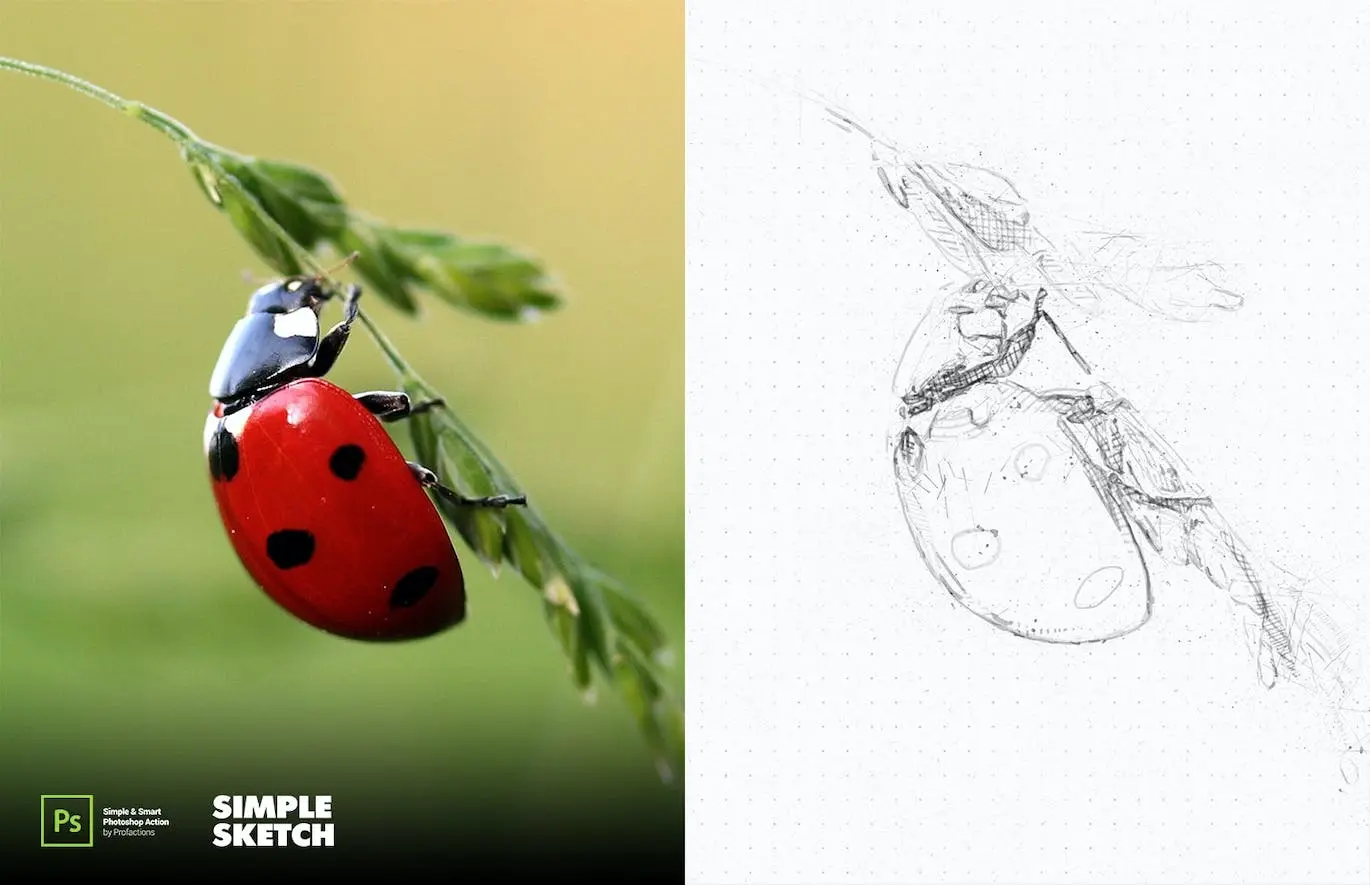 将图片一键生成简单素描手绘效果PS动作