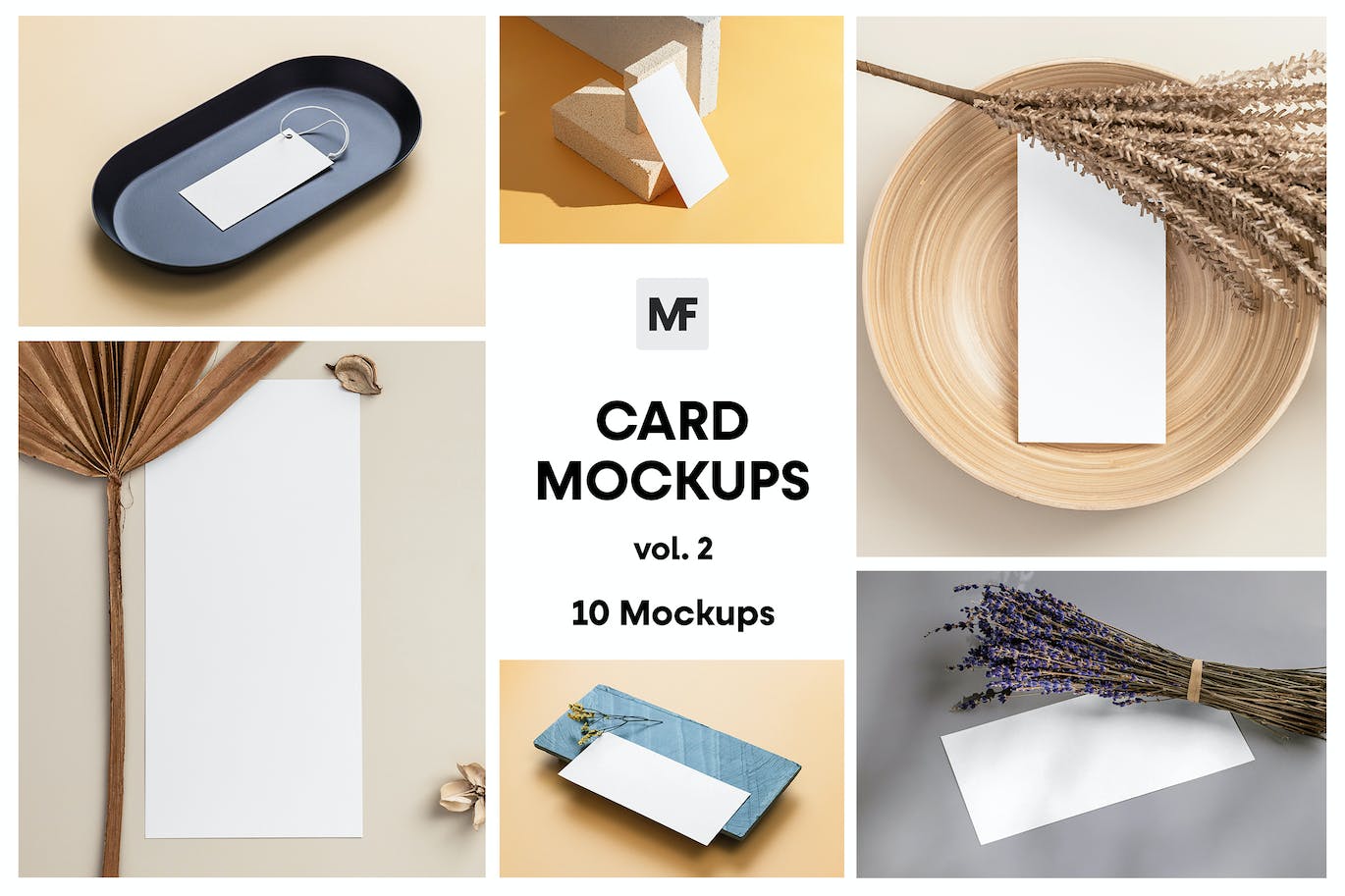 10个高品质名片设计VI样机PSD模型素材