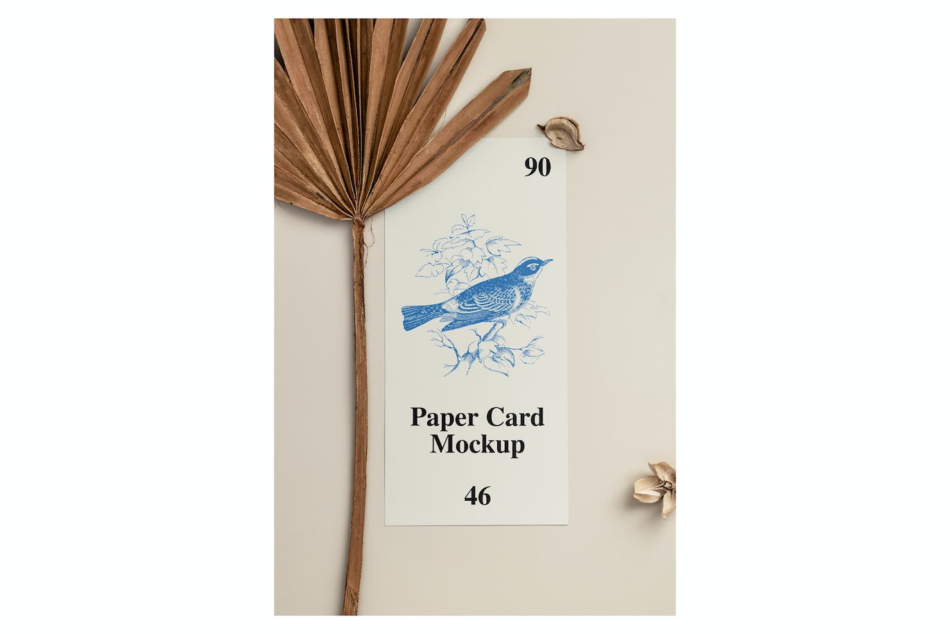 10个高品质名片设计VI样机PSD模型素材