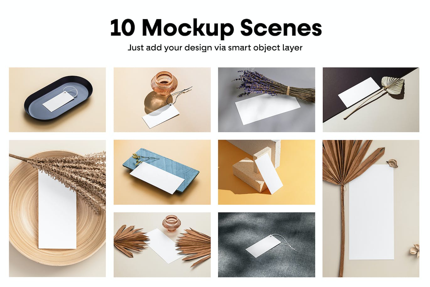 10个高品质名片设计VI样机PSD模型素材