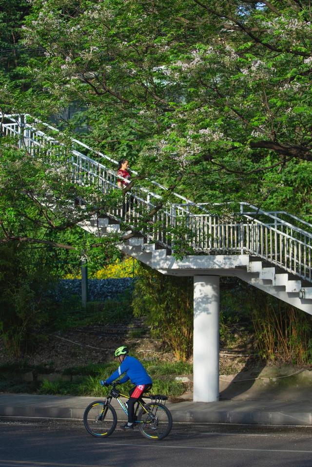 如何让照片耐看,明白这点很重要