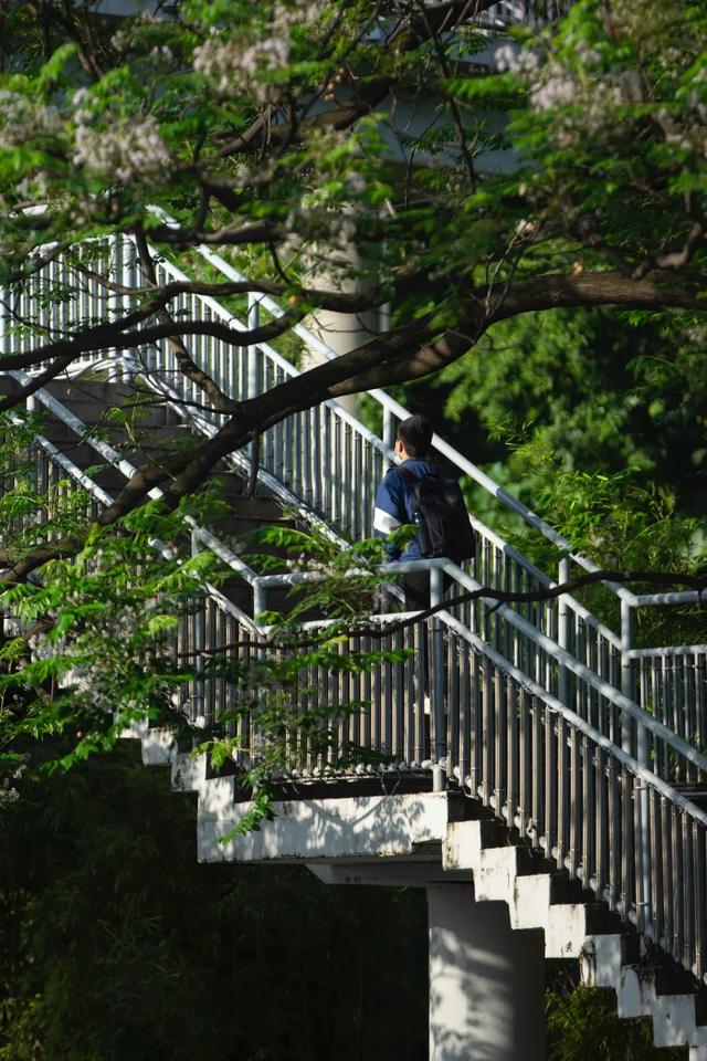 如何让照片耐看,明白这点很重要