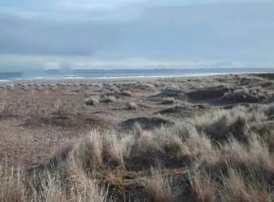 PS教程：一把雨伞的合成入门