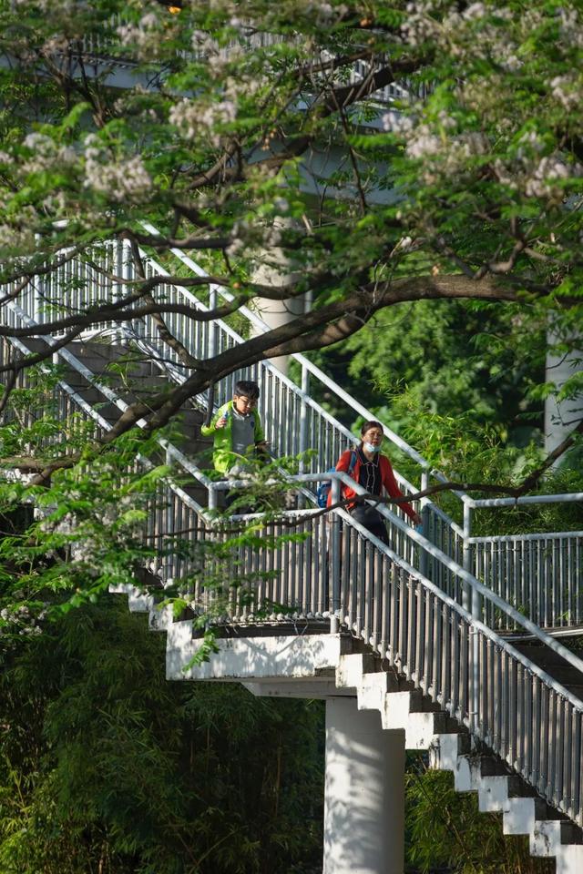 如何让照片耐看,明白这点很重要