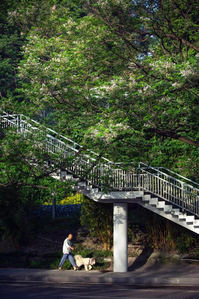 如何让照片耐看,明白这点很重要