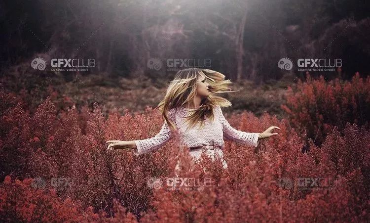 113款国外价值500美元的高端蒸气烟雾特效笔刷，你值得拥有！