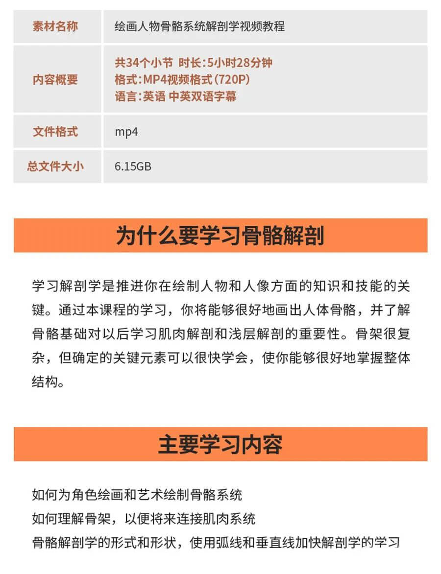 画人先画骨!跟着大神快速学习掌握人体骨骼套路的技巧