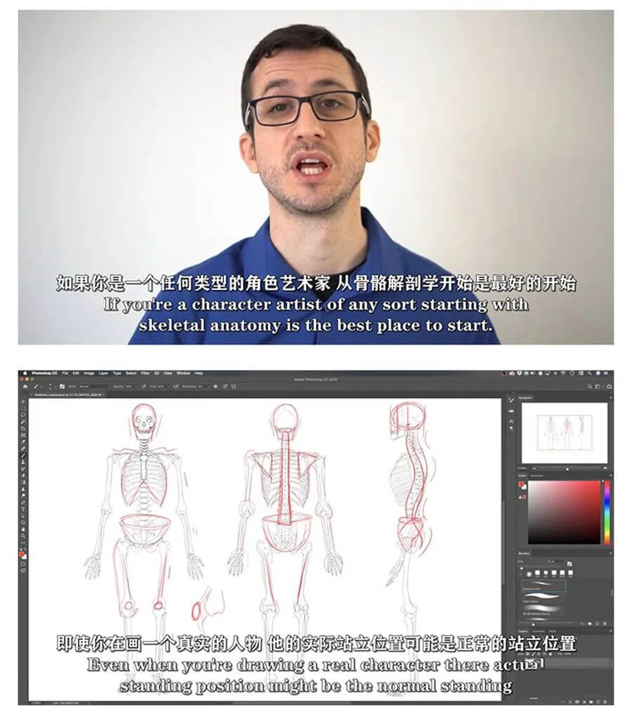 画人先画骨！跟着大神快速学习掌握人体骨骼套路的技巧