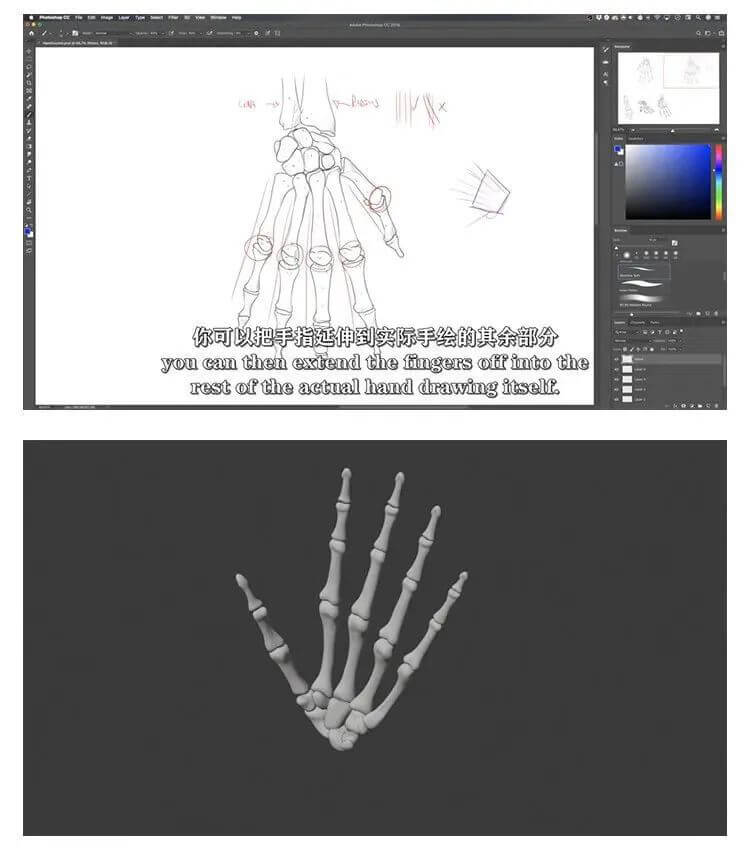 画人先画骨！跟着大神快速学习掌握人体骨骼套路的技巧