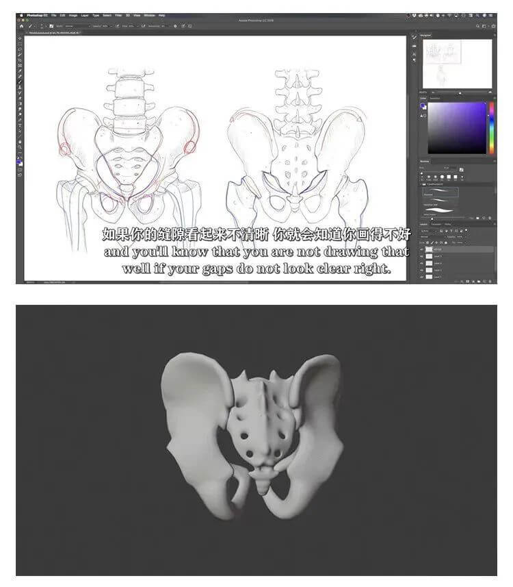 画人先画骨！跟着大神快速学习掌握人体骨骼套路的技巧