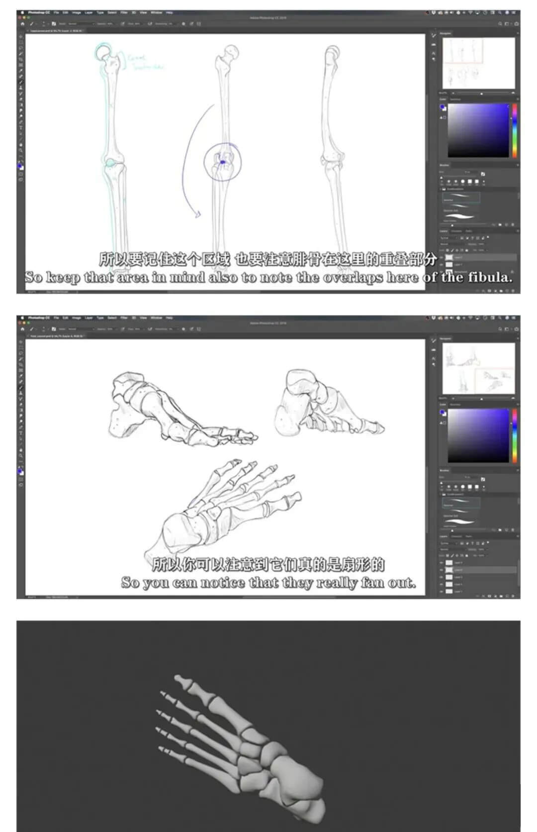 画人先画骨!跟着大神快速学习掌握人体骨骼套路的技巧