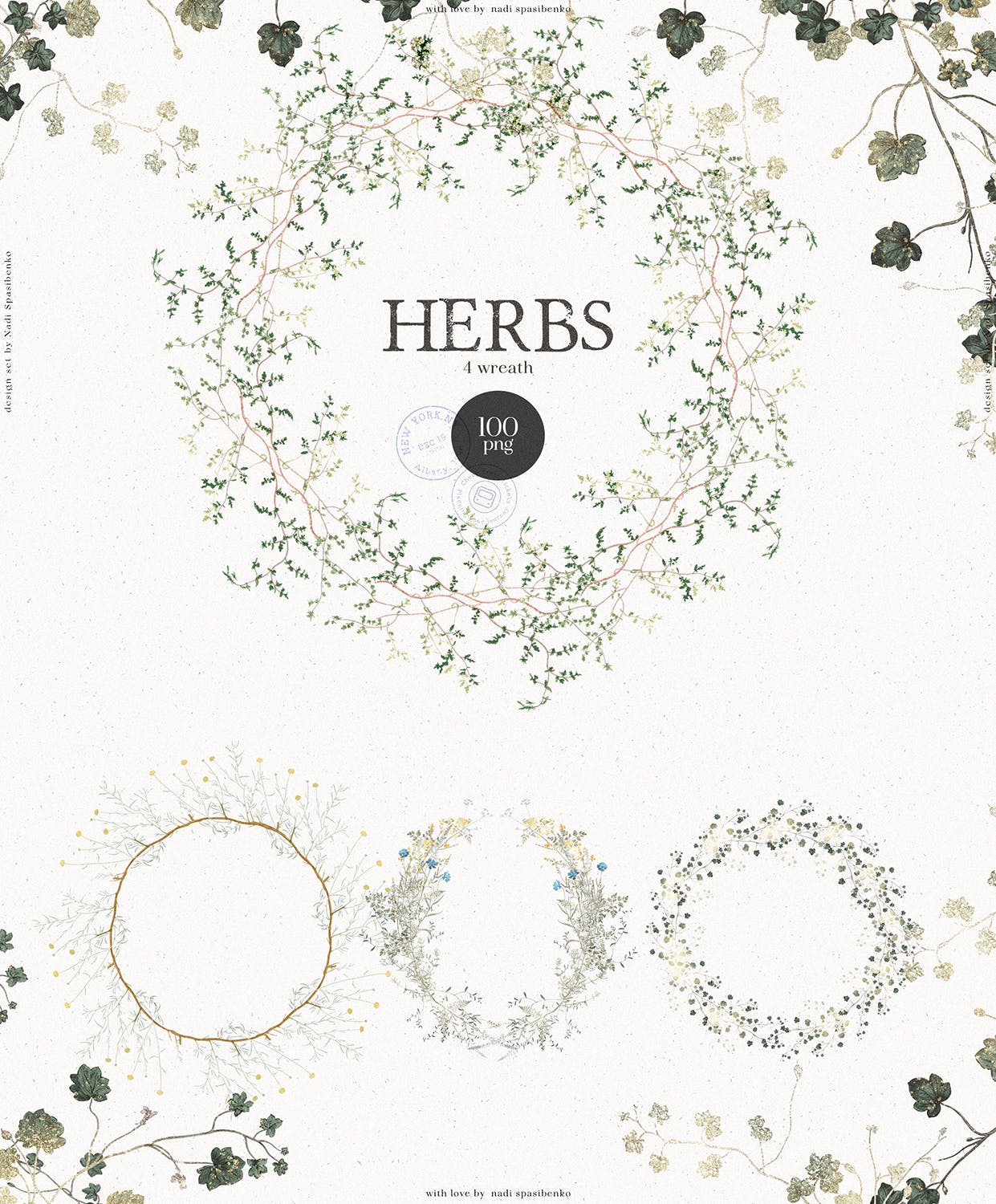 优雅的植物树枝PNG图片素材