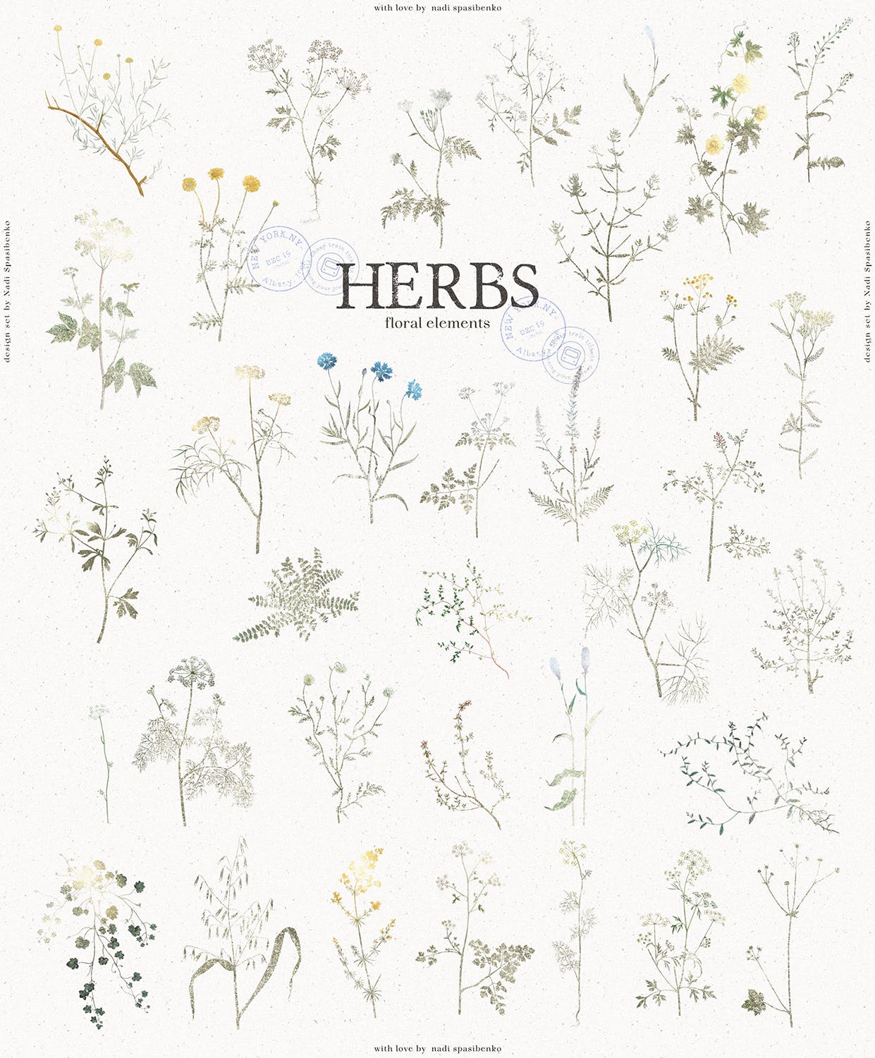 优雅的植物树枝PNG图片素材