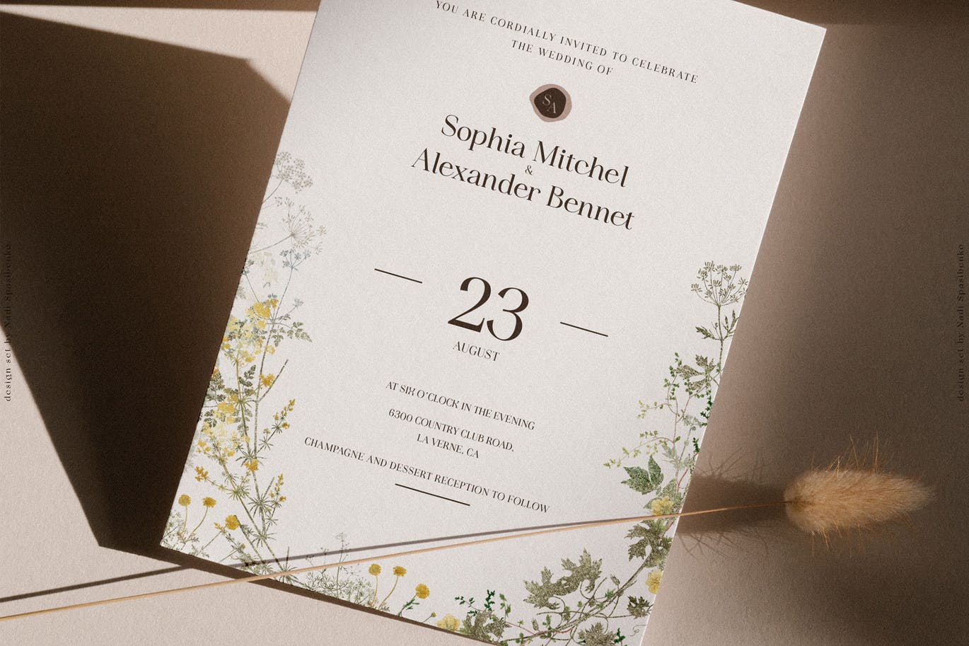 优雅的植物树枝PNG图片素材