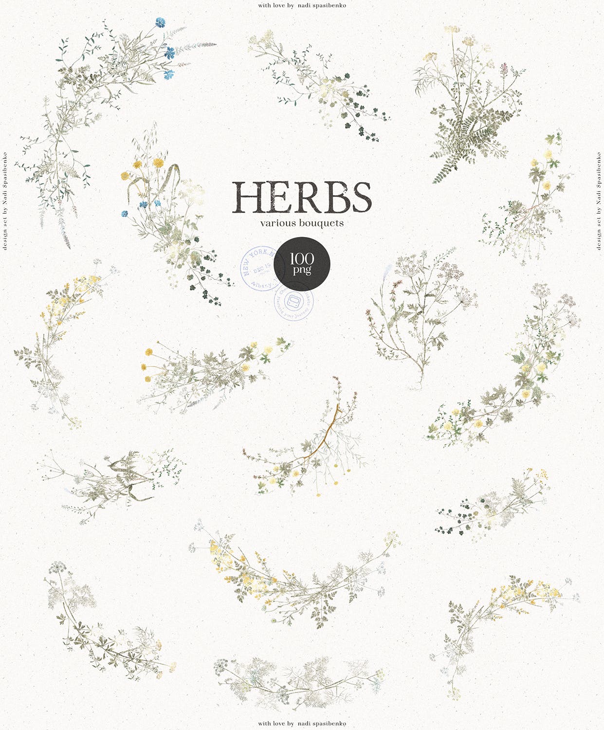 优雅的植物树枝PNG图片素材