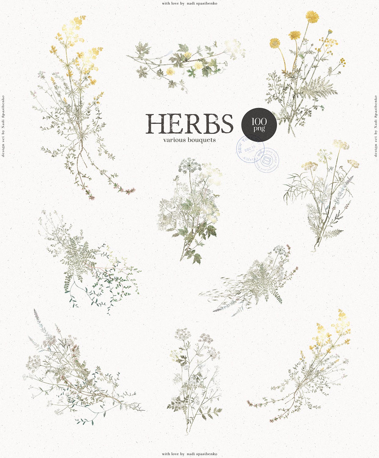 优雅的植物树枝PNG图片素材