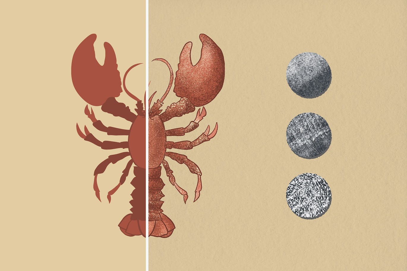 25个神奇强大的造梦纹理PS笔刷素材