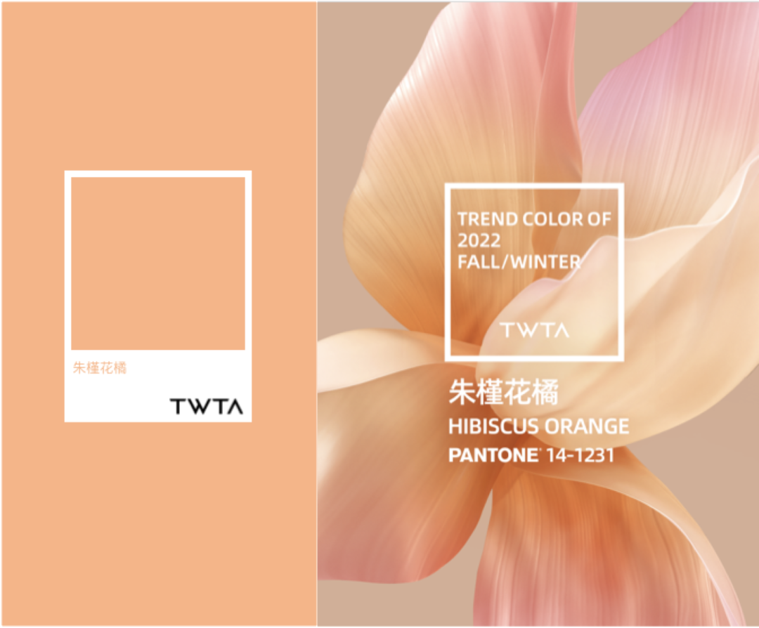 你知道22流行色是如何来的吗？