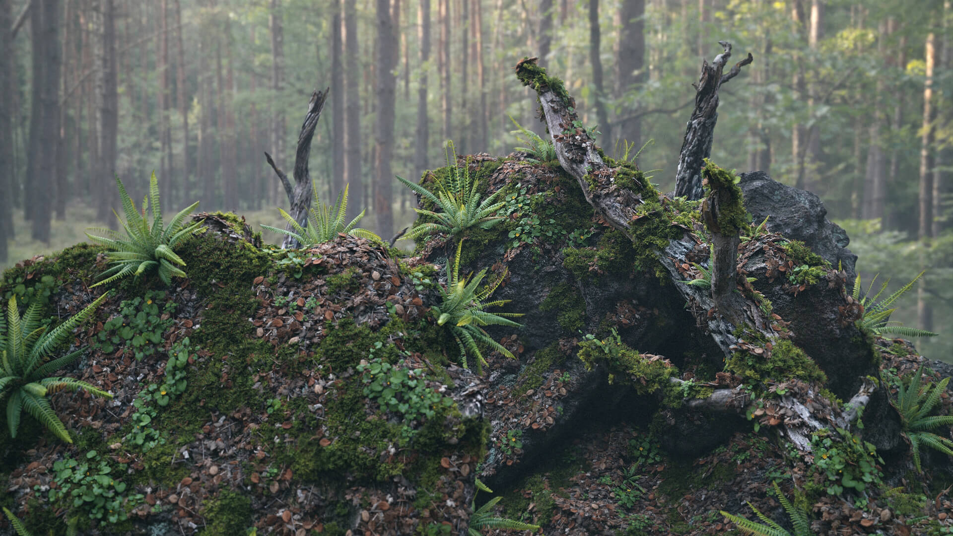 苔藓生物与枯树植物的3D模型合集：苔藓、枯树枝、枯树干、石头、四叶草、枯树叶