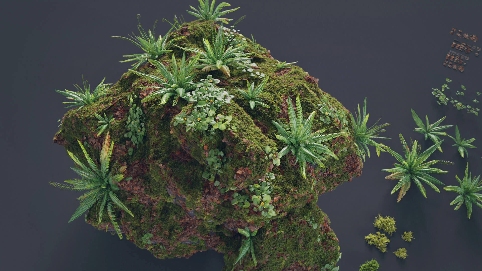 苔藓生物与枯树植物的3D模型合集:苔藓、枯树枝、枯树干、石头、四叶草、枯树叶