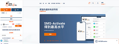 国内要如何使用chatgpt？（这是一篇详细的chatgpt注册使用教程）