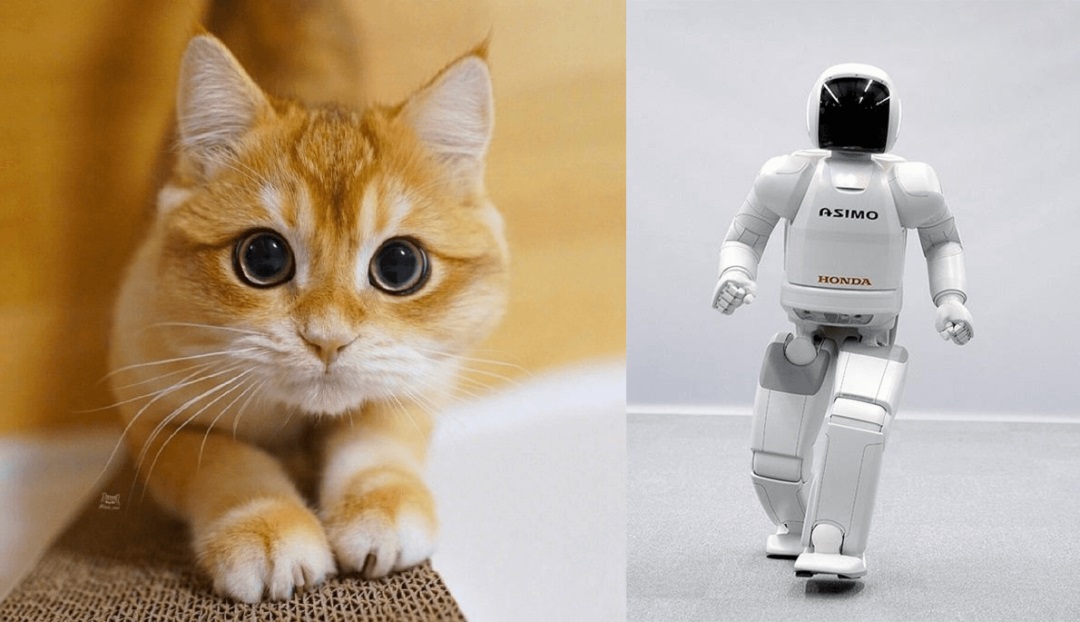 这是一篇超详细的AI绘画神器Midjourney基础使用教程