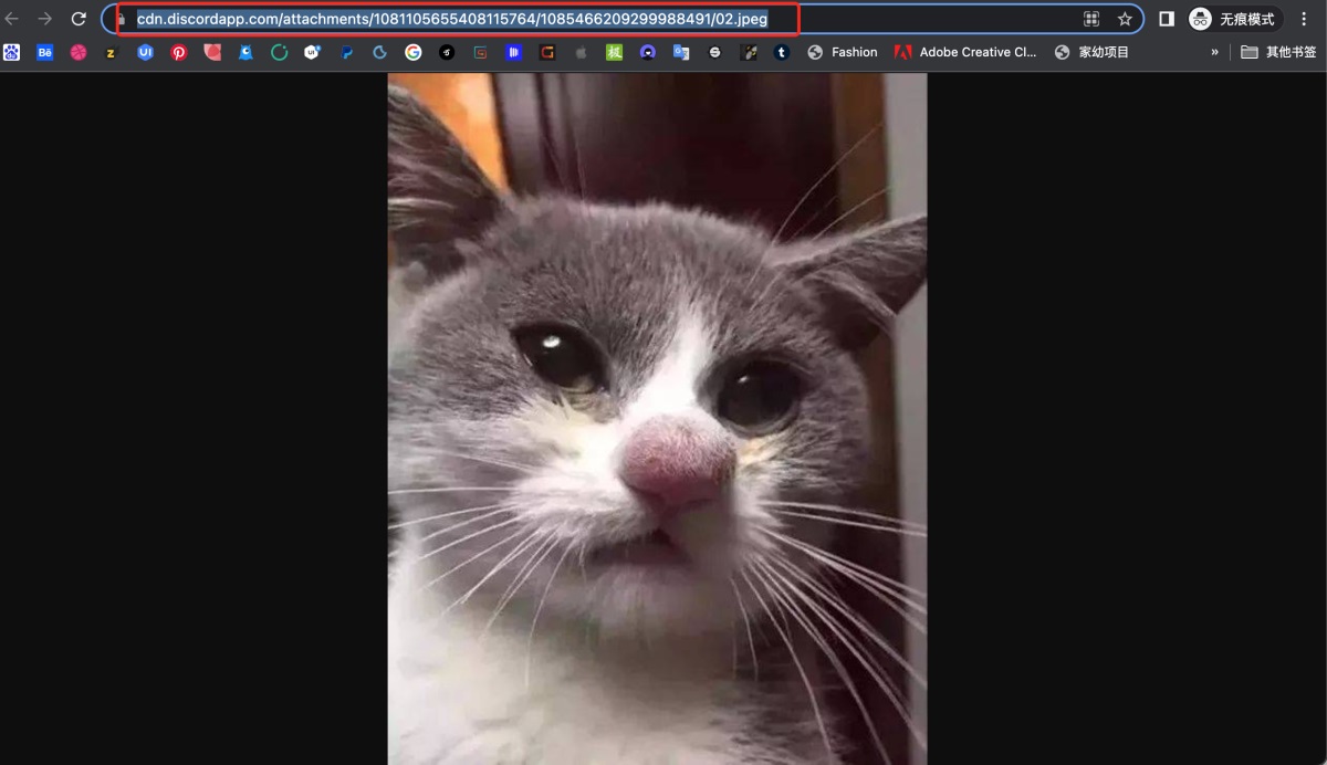 超详细的AI 绘画神器Midjourney进阶使用手册-6 超详细的AI 绘画神器Midjourney进阶使用手册