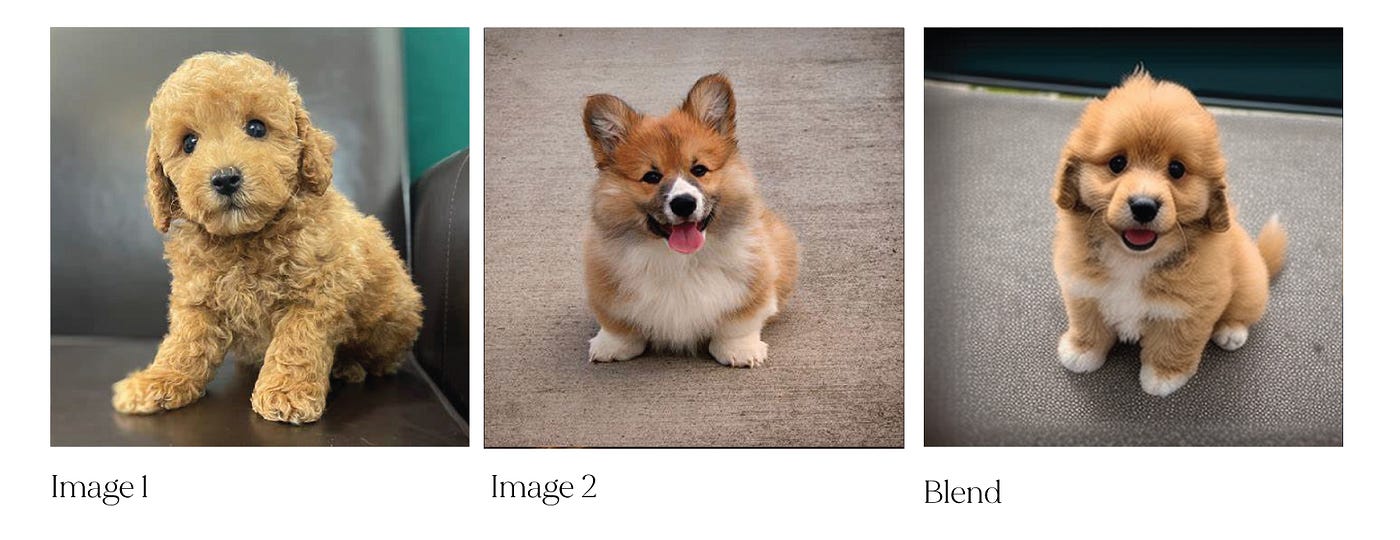 怎样在MidJourney中合并图像 用一个命令轻松合并图像