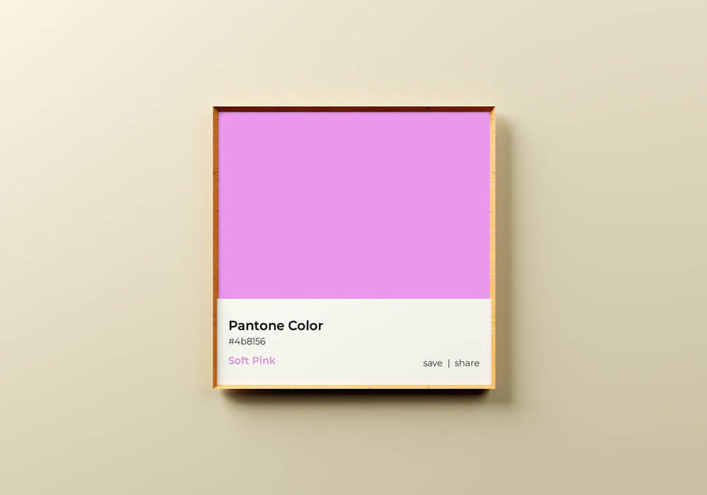 高品质潘通流行色色卡色号PSD样机素材包