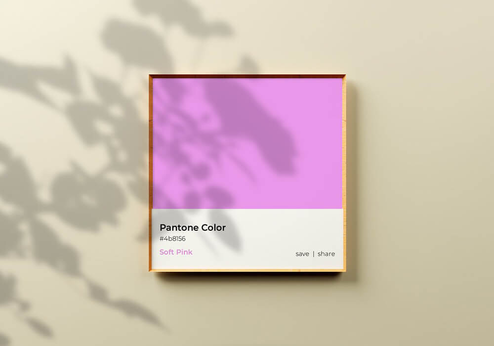 高品质潘通流行色色卡色号PSD样机素材包