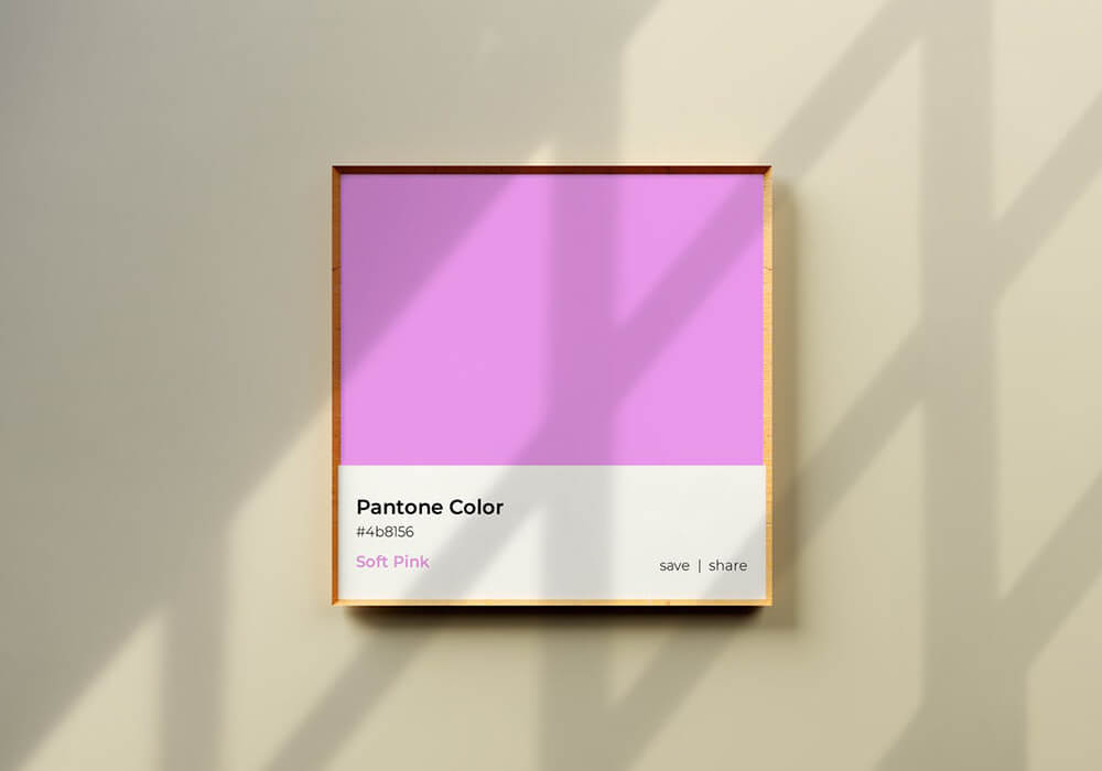 高品质潘通流行色色卡色号PSD样机素材包