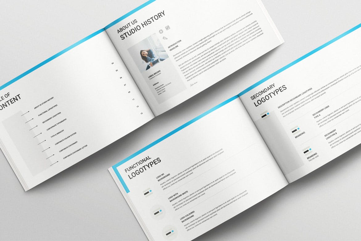 16页蓝色高端充满细节的VI样机PSD素材包(INDD)