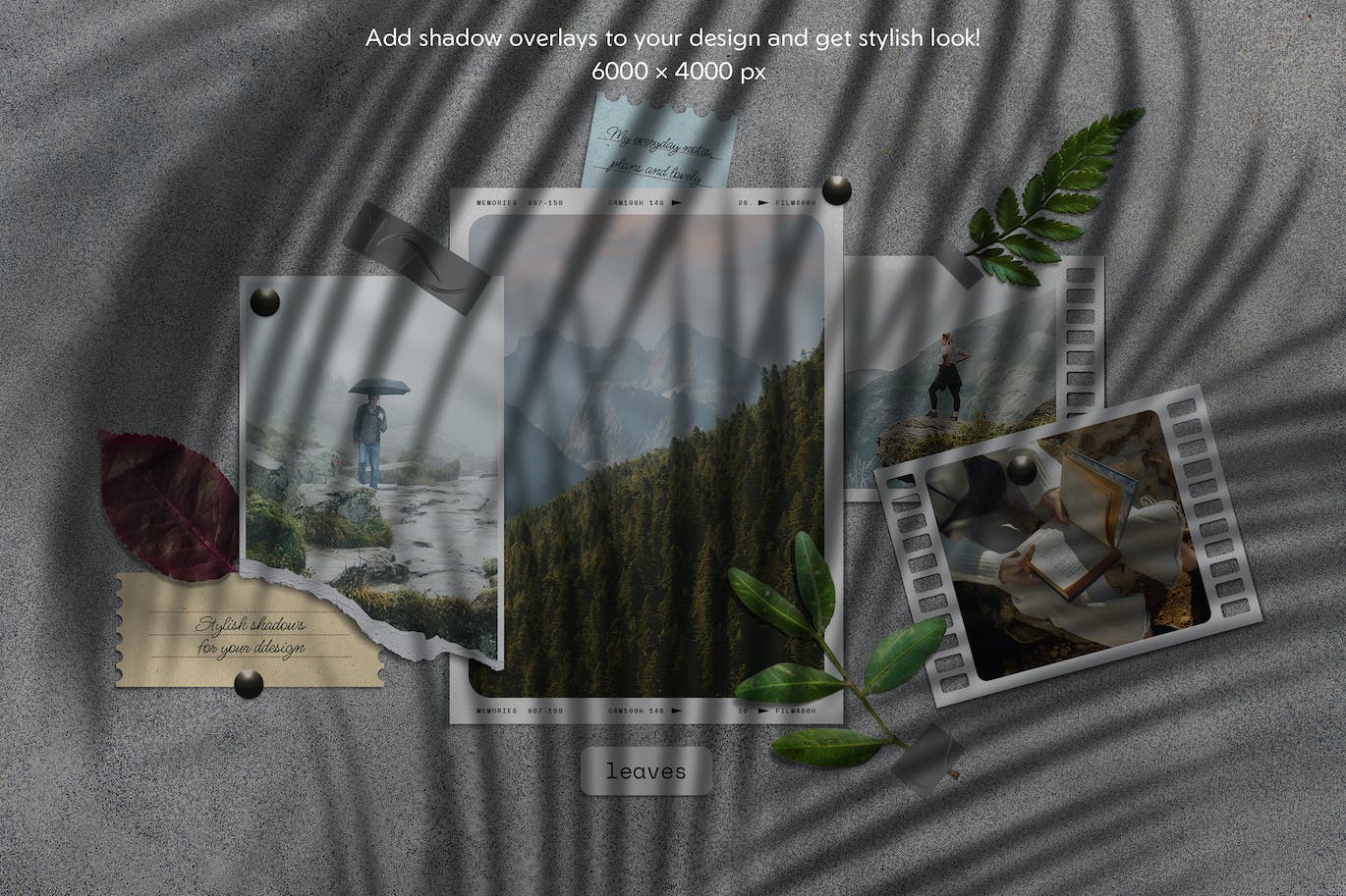 15个可以用做光影效果的树叶叶子阴影投影素材包