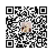 这5个实用技巧，帮你快速掌握ChatGPT的进阶用法！