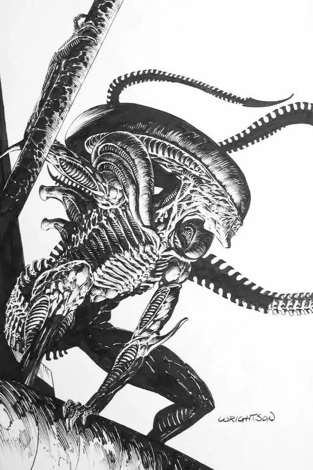 钢笔画技法揭秘，必学的板绘钢笔插画教程