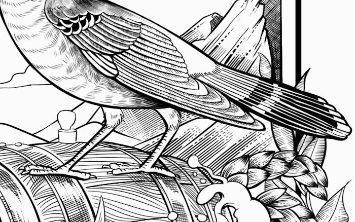 钢笔画技法揭秘，必学的板绘钢笔插画教程