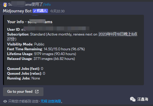 17个Midjourney常用命令,看看你会了多少-15 17个Midjourney常用命令,看看你会了多少