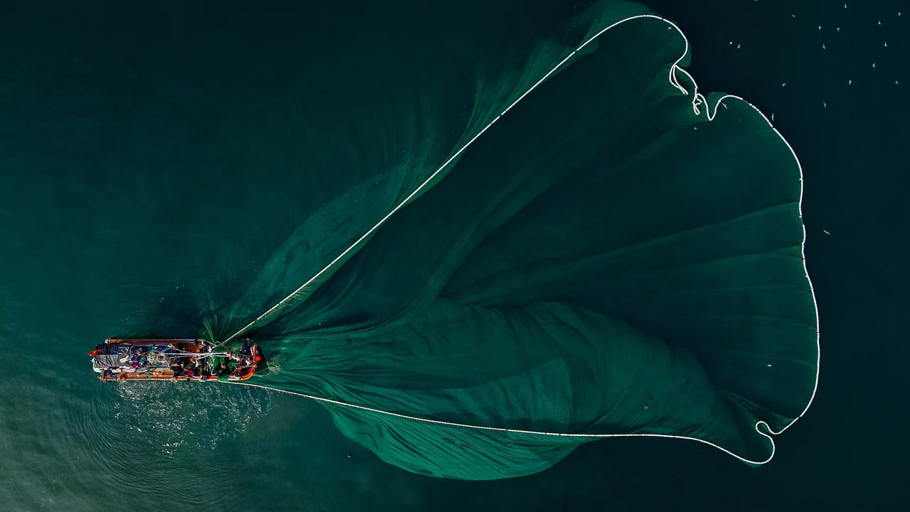 从婴儿床到晚餐:优化用户体验设计的经验分享与内容评论准备