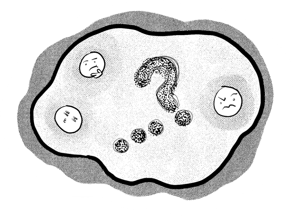 调试您的设计面试之旅