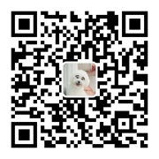 如何用好容器类UI组件,让复杂的界面变得清爽易用?-3 如何用好容器类UI组件,让复杂的界面变得清爽易用?