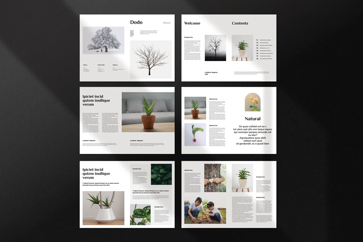 简洁自然杂志风VI手册模板素材