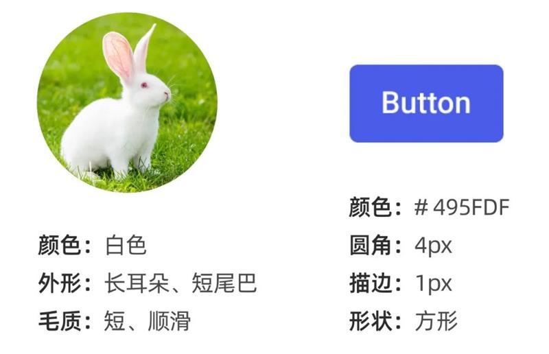 资深设计师常用的Design Token,3个知识点帮你用起来!-1 资深设计师常用的Design Token,3个知识点帮你用起来!
