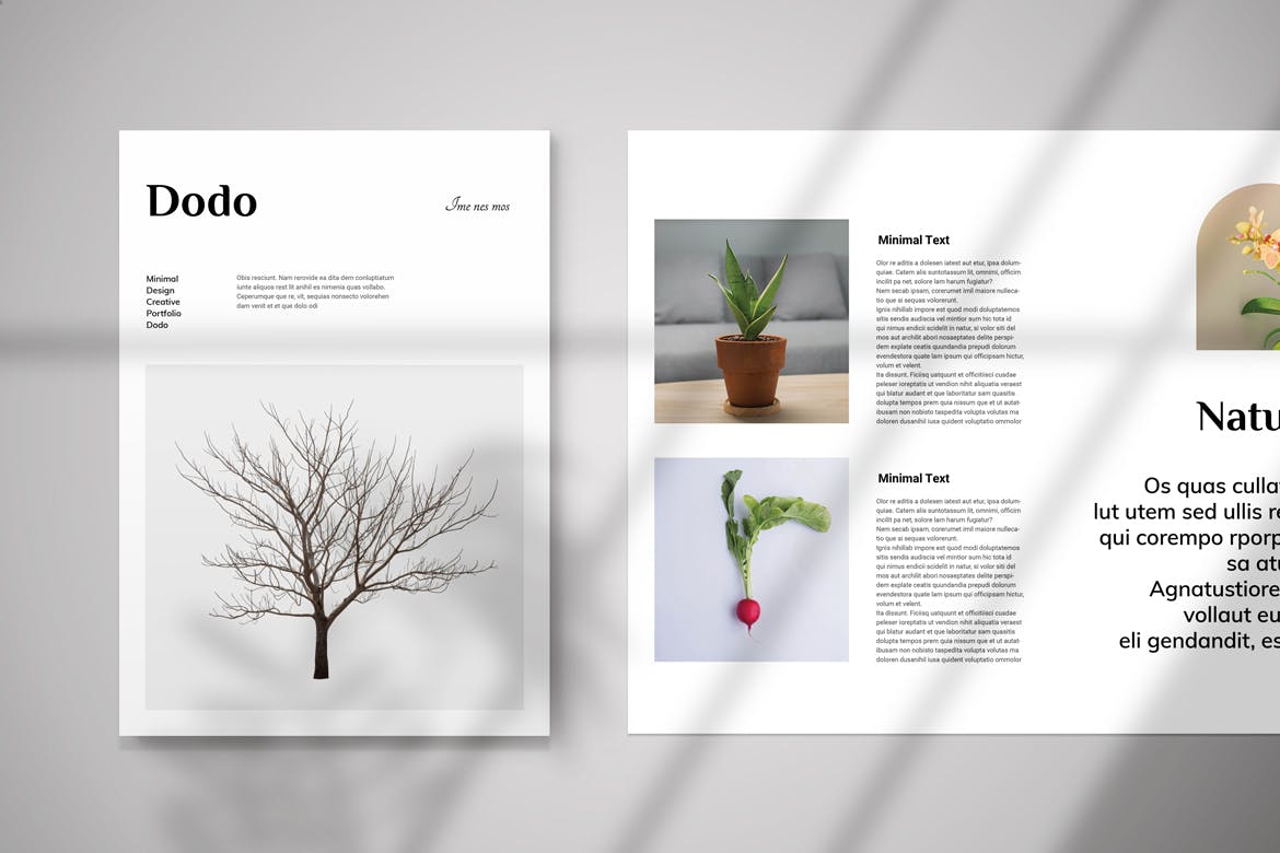 简洁自然杂志风VI手册模板素材