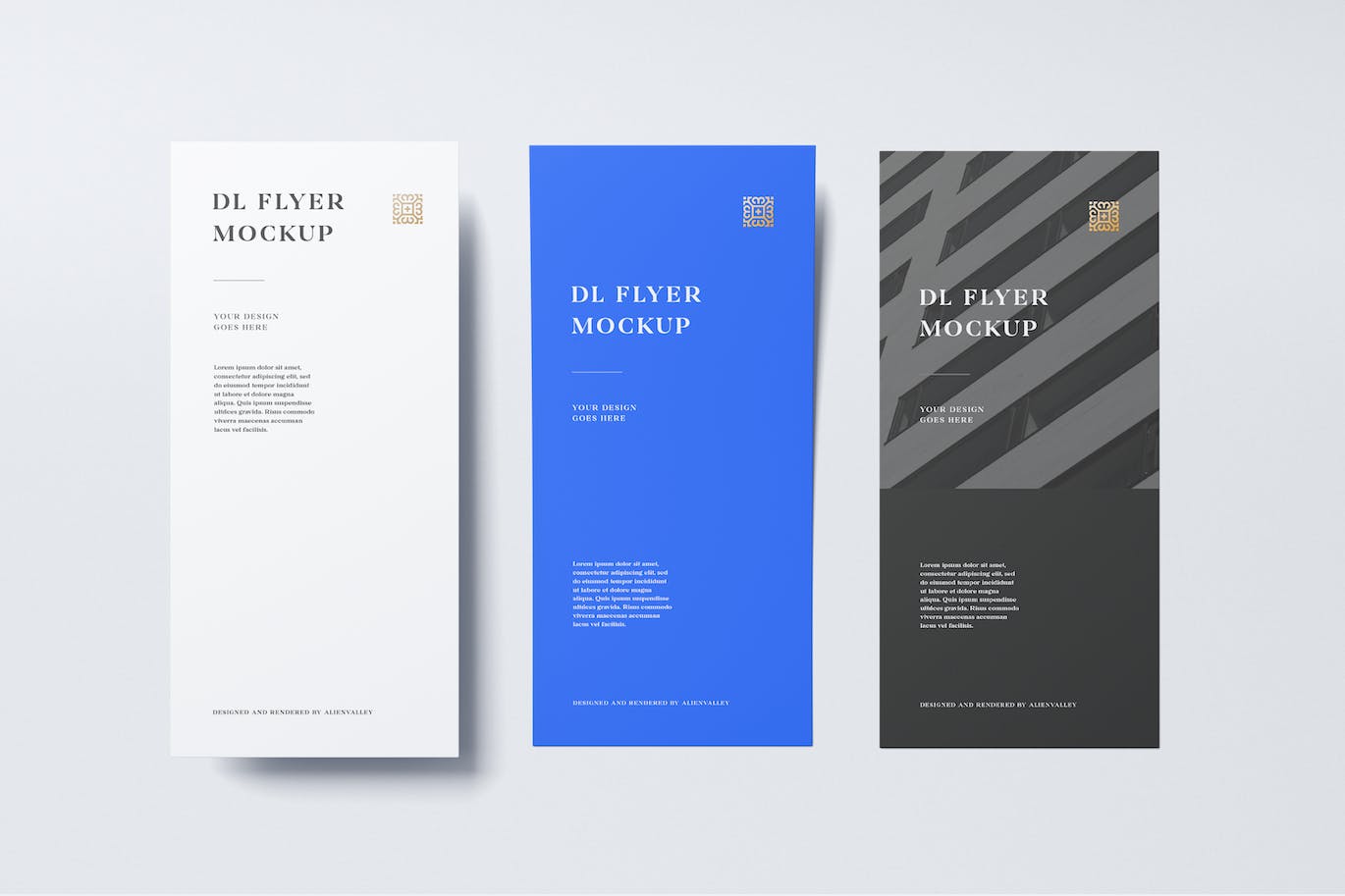 3个DL标准传单PSD样机素材